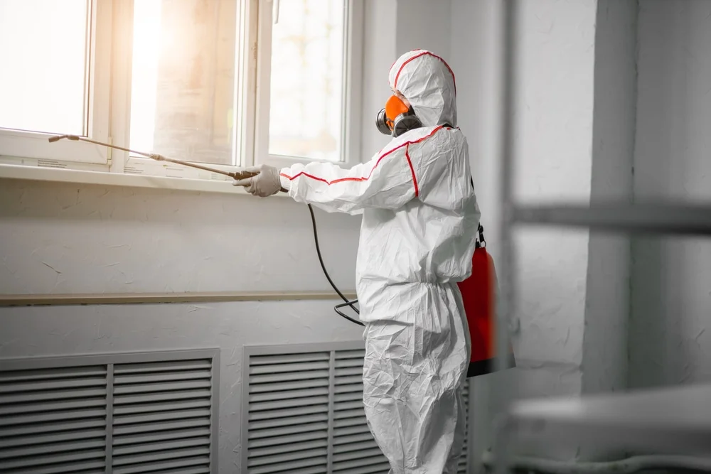 Professional mold remediation services in Cottonton, AL